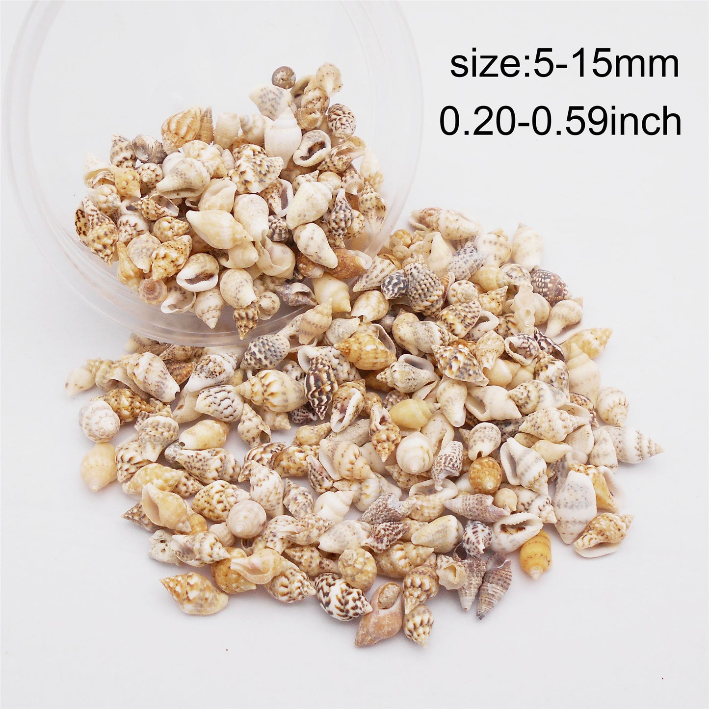 40g One Box of Natural Marine Conch Shell 5-15mm Mixed Tiny Rice Shaped Cowrie Shell Beads for Wish Bottle Decoration, DIY Crafts Supplies, Fish Tank Ornament Making