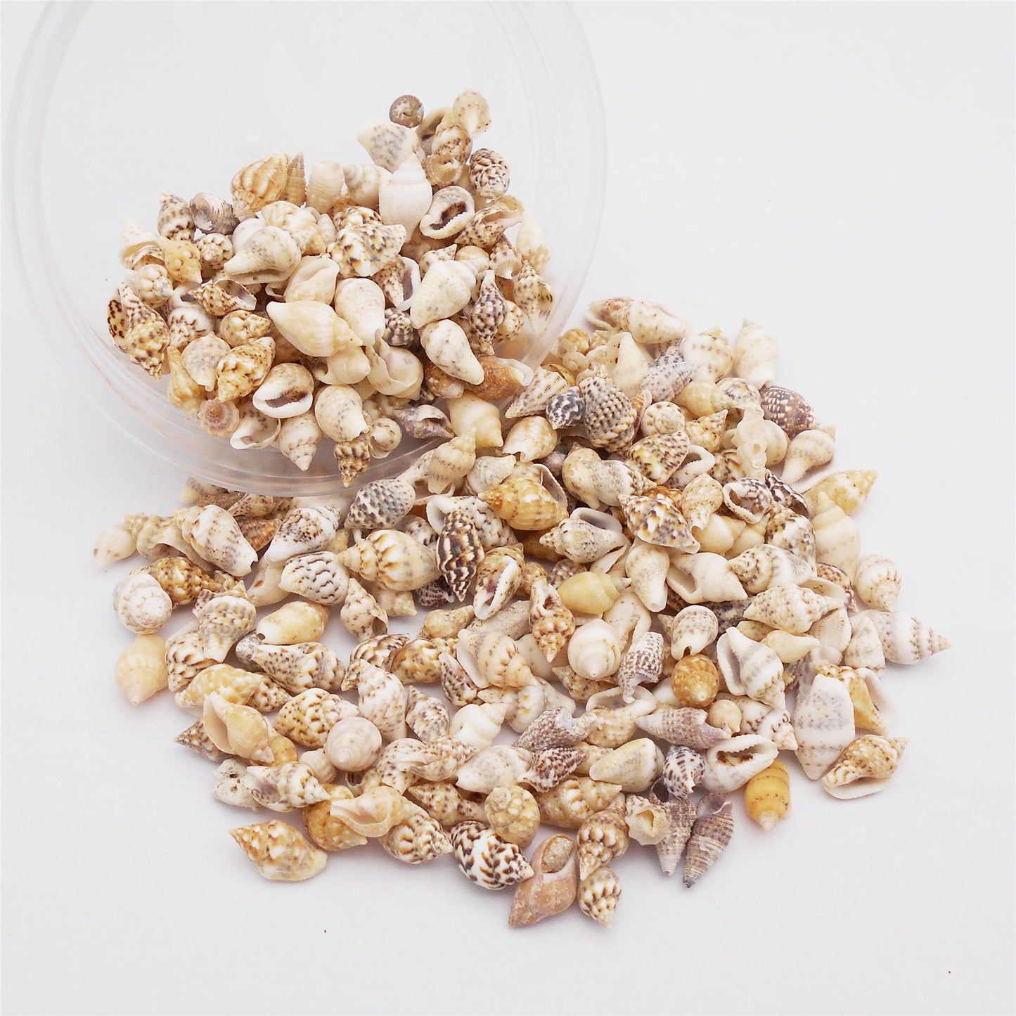 40g One Box of Natural Marine Conch Shell 5-15mm Mixed Tiny Rice Shaped Cowrie Shell Beads for Wish Bottle Decoration, DIY Crafts Supplies, Fish Tank Ornament Making