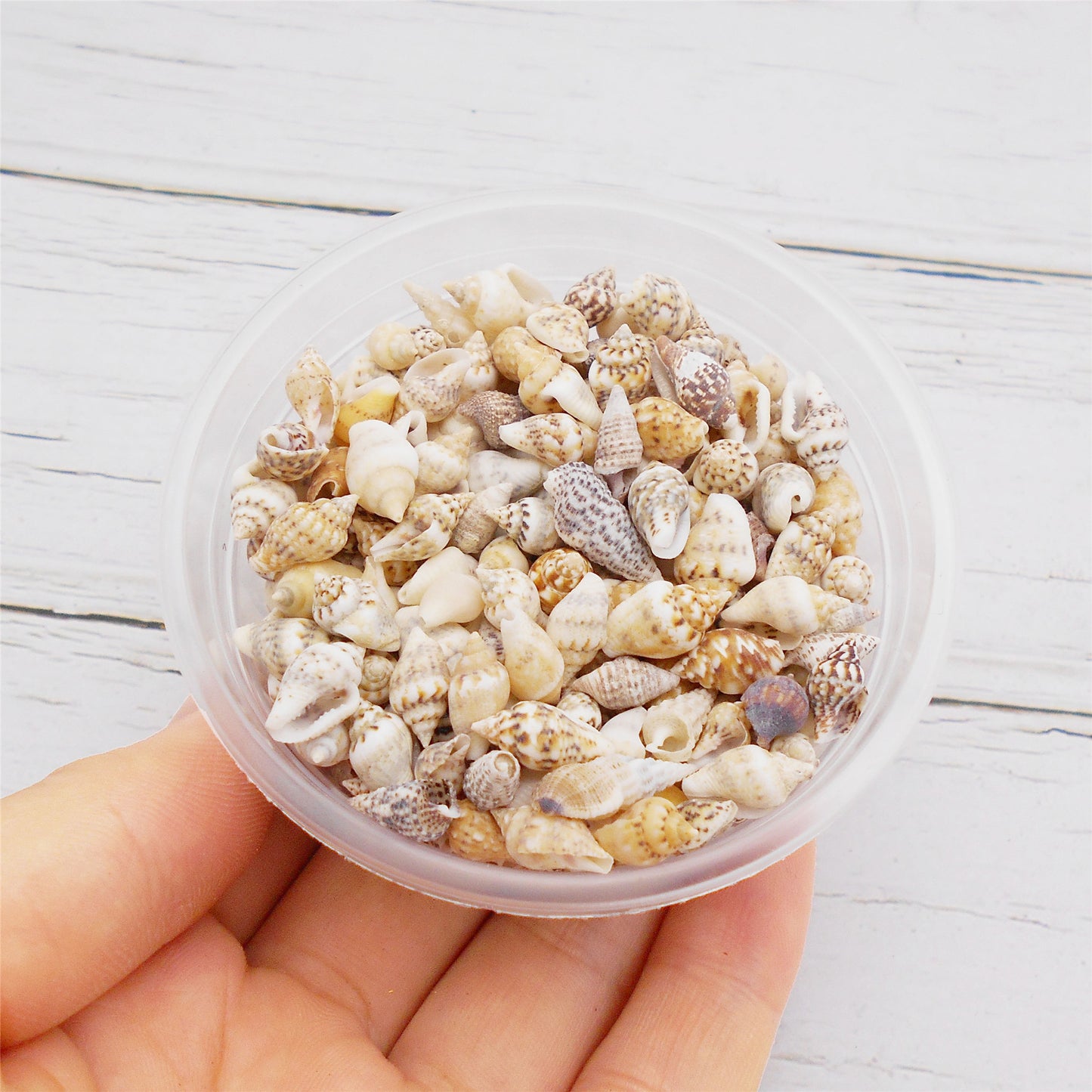 40g One Box of Natural Marine Conch Shell 5-15mm Mixed Tiny Rice Shaped Cowrie Shell Beads for Wish Bottle Decoration, DIY Crafts Supplies, Fish Tank Ornament Making