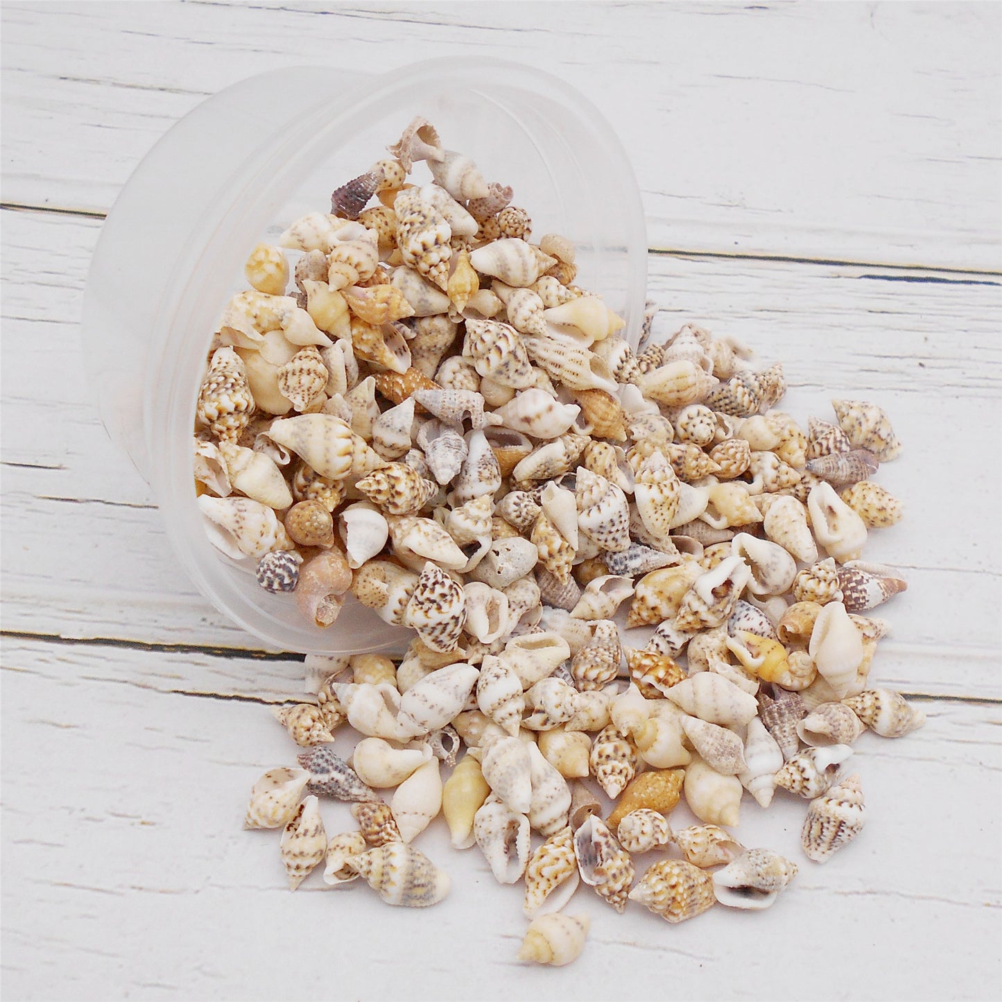 40g One Box of Natural Marine Conch Shell 5-15mm Mixed Tiny Rice Shaped Cowrie Shell Beads for Wish Bottle Decoration, DIY Crafts Supplies, Fish Tank Ornament Making