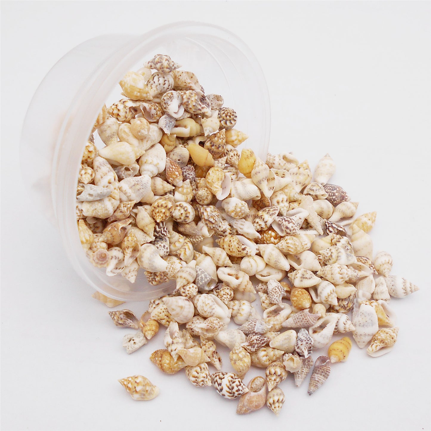 40g One Box of Natural Marine Conch Shell 5-15mm Mixed Tiny Rice Shaped Cowrie Shell Beads for Wish Bottle Decoration, DIY Crafts Supplies, Fish Tank Ornament Making