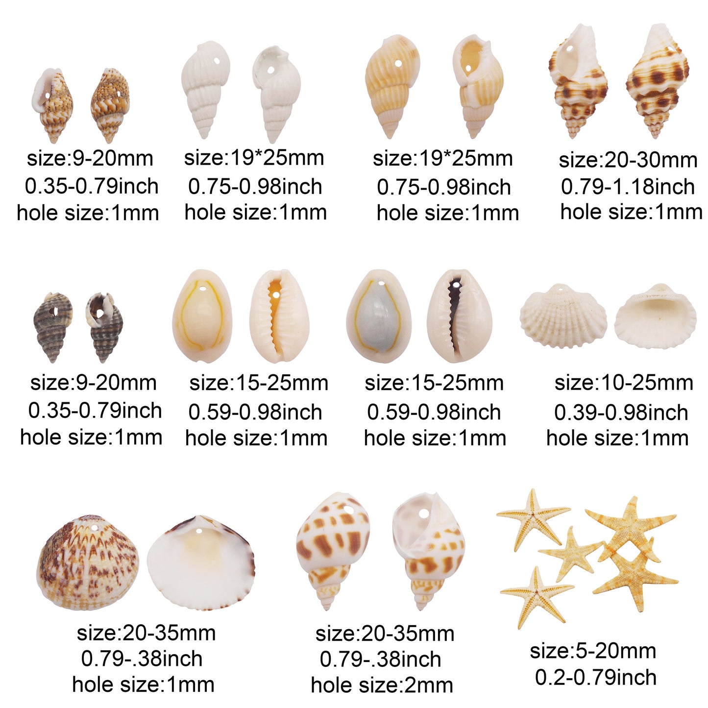 1 Box of Natural Sea Shell with Small Hole Beach Conch Clam Scallop Shell Tiny Starfish for DIY Crafts Supplies, Home Aquarium Decor, Fish Tank Ornament Making