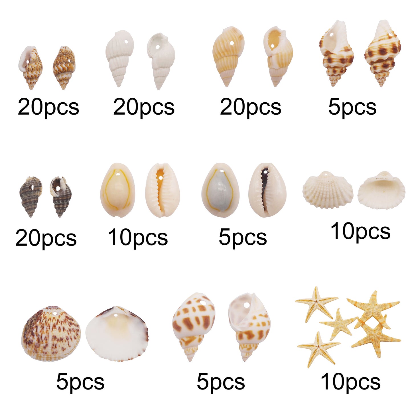 1 Box of Natural Sea Shell with Small Hole Beach Conch Clam Scallop Shell Tiny Starfish for DIY Crafts Supplies, Home Aquarium Decor, Fish Tank Ornament Making