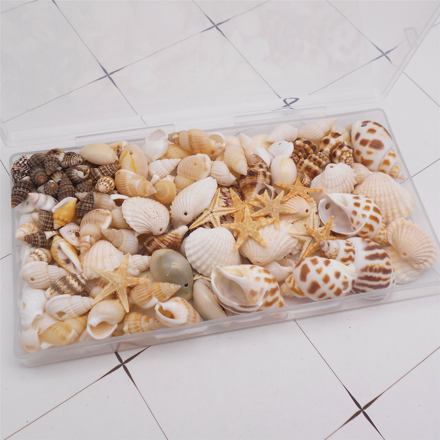 1 Box of Natural Sea Shell with Small Hole Beach Conch Clam Scallop Shell Tiny Starfish for DIY Crafts Supplies, Home Aquarium Decor, Fish Tank Ornament Making