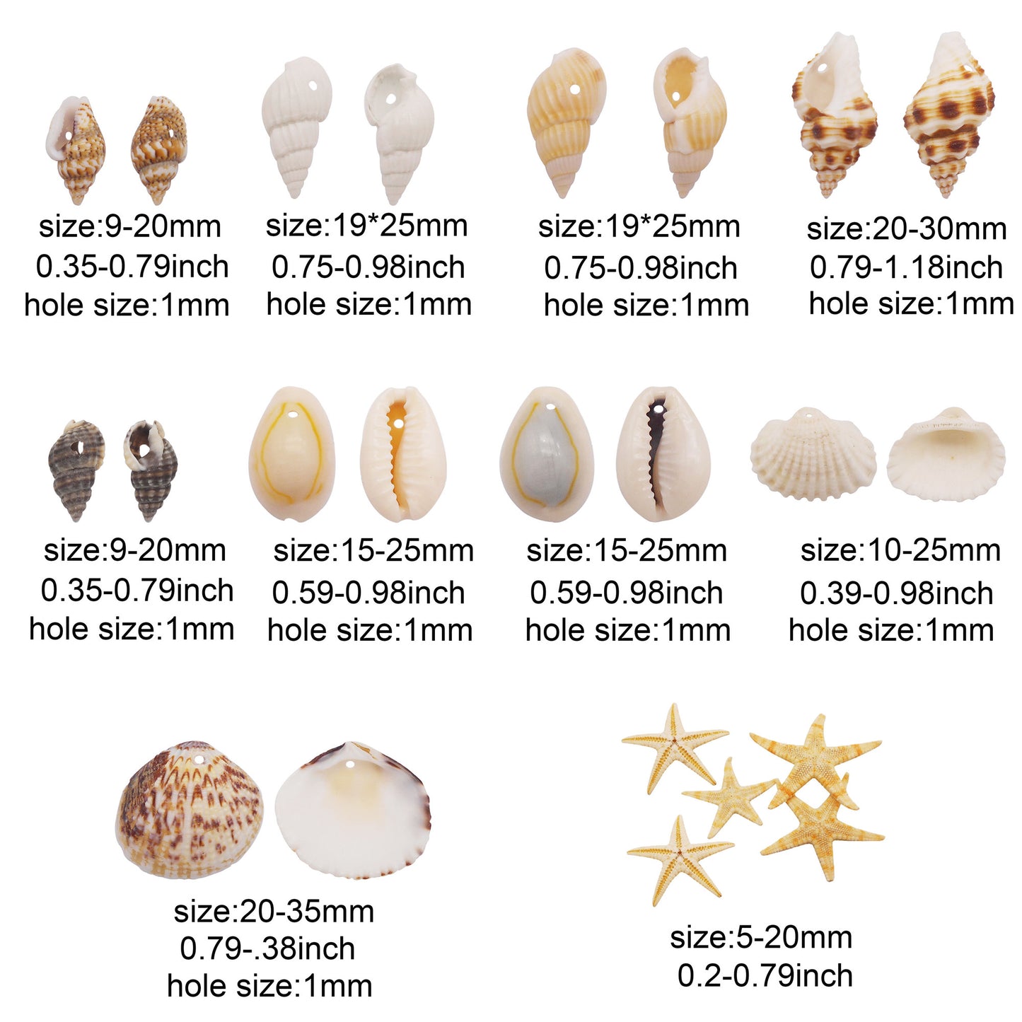 1 Box of Natural Sea Shell with Small Hole Beach Conch Clam Scallop Shell Tiny Starfish for DIY Crafts Supplies, Home Aquarium Decor, Fish Tank Ornament Making