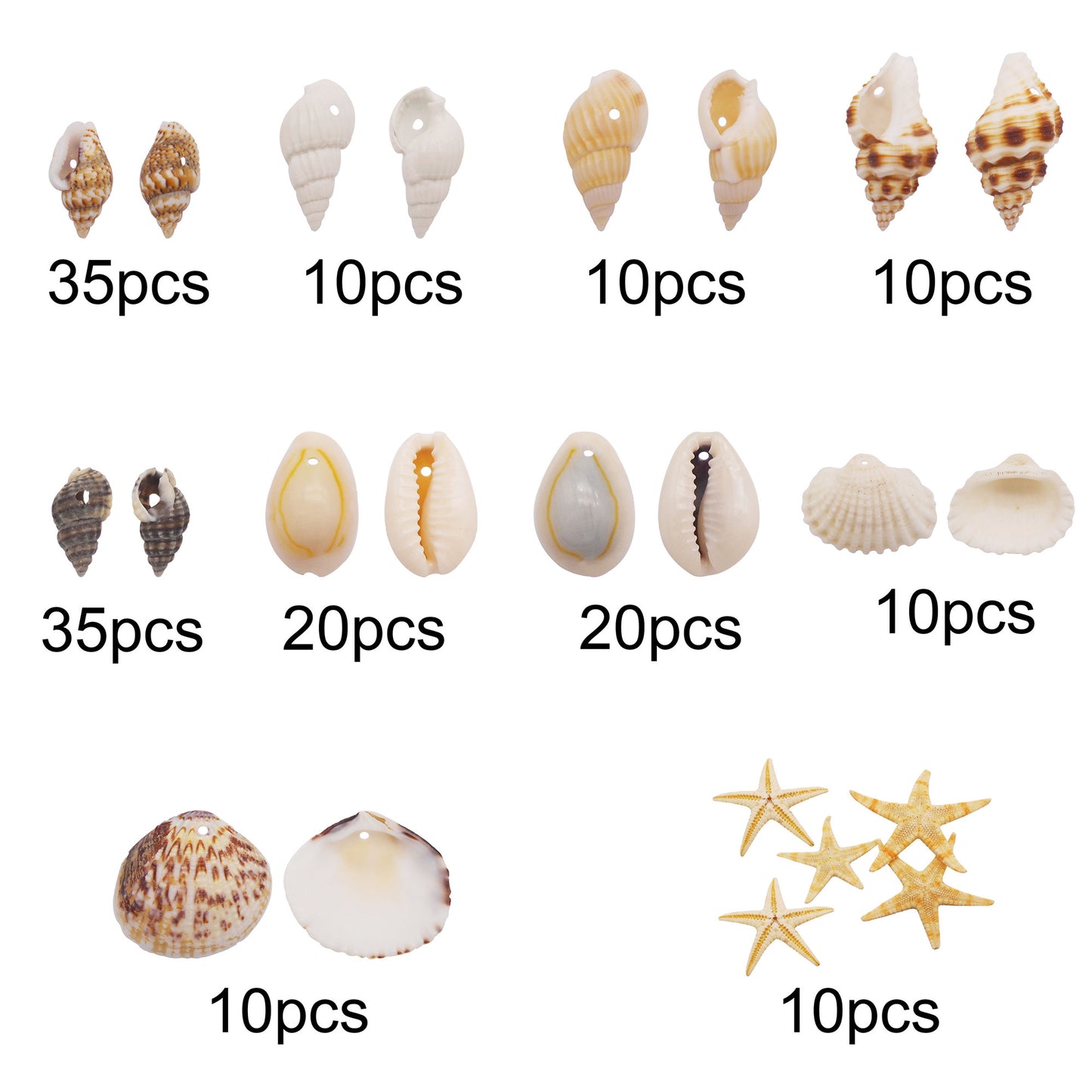 1 Box of Natural Sea Shell with Small Hole Beach Conch Clam Scallop Shell Tiny Starfish for DIY Crafts Supplies, Home Aquarium Decor, Fish Tank Ornament Making