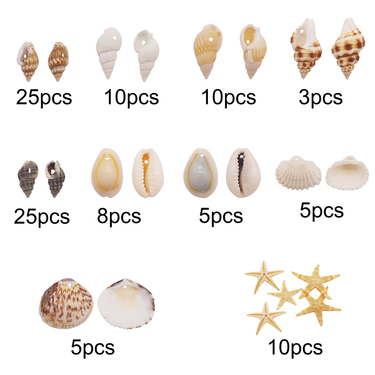 1 Box of Natural Sea Shell with Small Hole Beach Conch Clam Scallop Shell Tiny Starfish for DIY Crafts Supplies, Home Aquarium Decor, Fish Tank Ornament Making