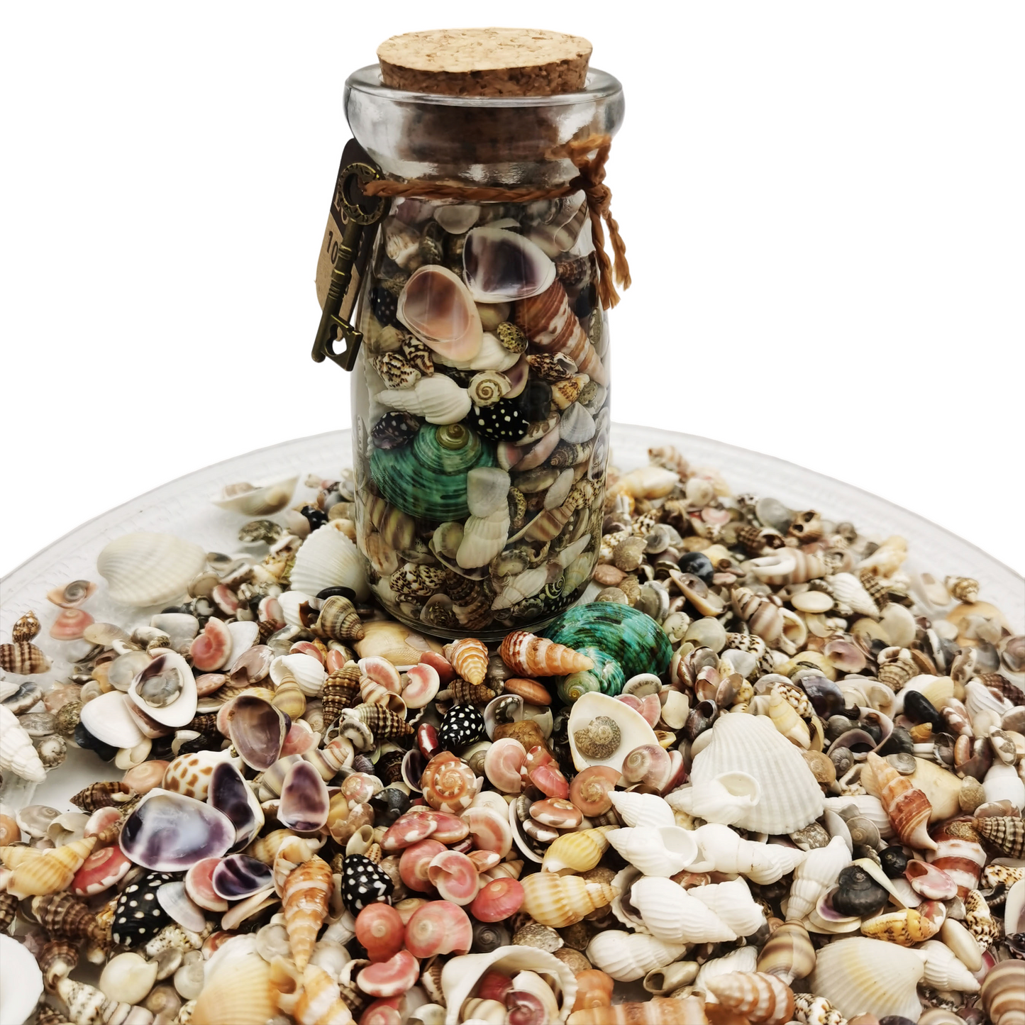 Glass Wide Mouth Wishing Bottle Jar with Conch & Scallop & Clam & Cockle Shells, Sealed with Cork and Fitted with String, Creative Gift for Friends, Ocean Theme Party & Beach Wedding Decoration