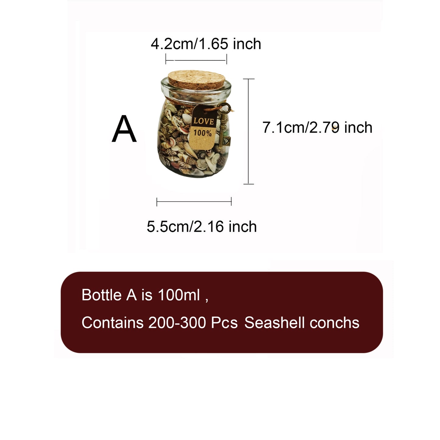 Glass Wide Mouth Wishing Bottle Jar with Conch & Scallop & Clam & Cockle Shells, Sealed with Cork and Fitted with String, Creative Gift for Friends, Ocean Theme Party & Beach Wedding Decoration