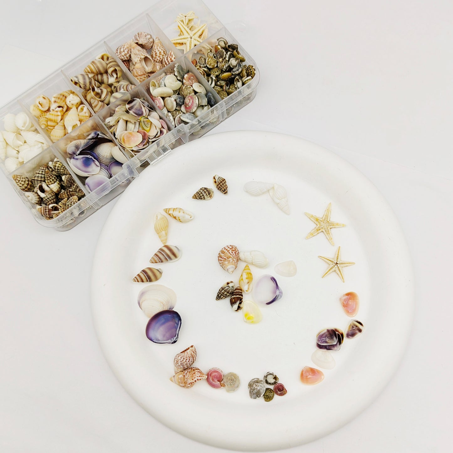 1 Box 400 PCS Natural Starfish Sea Shells Conch Seashells for Ocean Beach Theme Party Decoration Jewelry Making Candle Crafts DIY Fish Tank Vase Filler Tiny Small