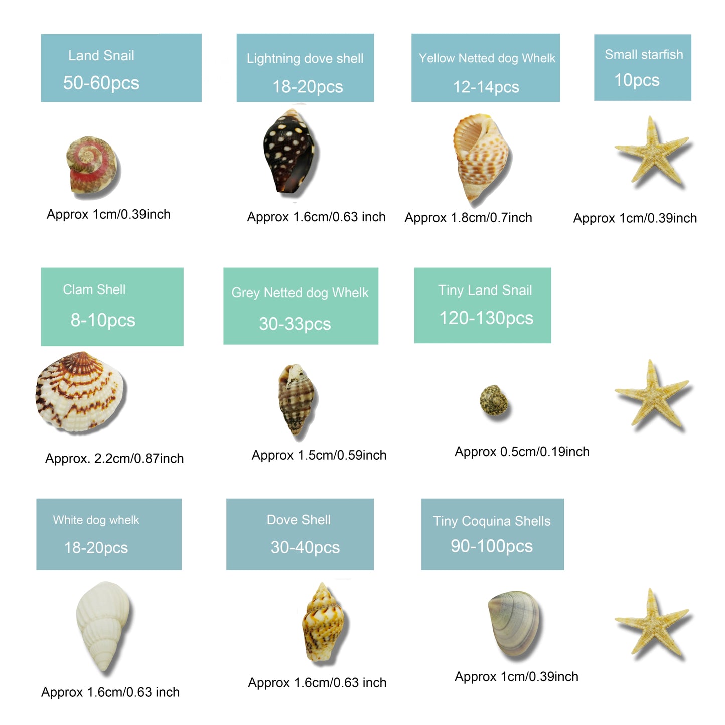 1 Box 230 PCS Natural Starfish Sea Shells Conch Seashells for Ocean Beach Theme Party Decoration Jewelry Making Candle Crafts DIY Fish Tank Vase Filler Tiny Small
