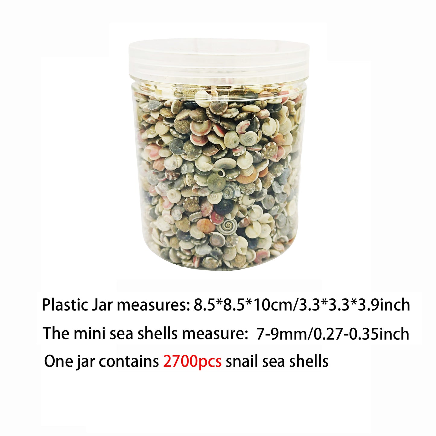 1 Plastic Jar Natural Conch Scallop Shells Real Sea Shells for Art Craft Supplies, Ocean Theme Party & Beach Wedding Decoration 85x85x100mm