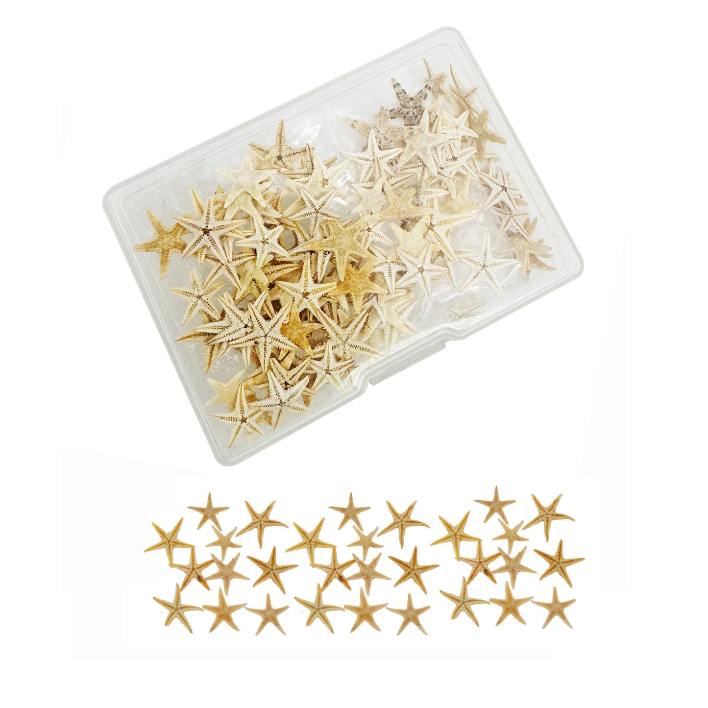 1 Box of 110pcs Tiny Natural Sea Star Marine Starfish for DIY Fish Tank Aquarium Decor Art Crafts Supplies Beach Wedding&Ocean Theme Party Decoration 5-15mm/10-20mm