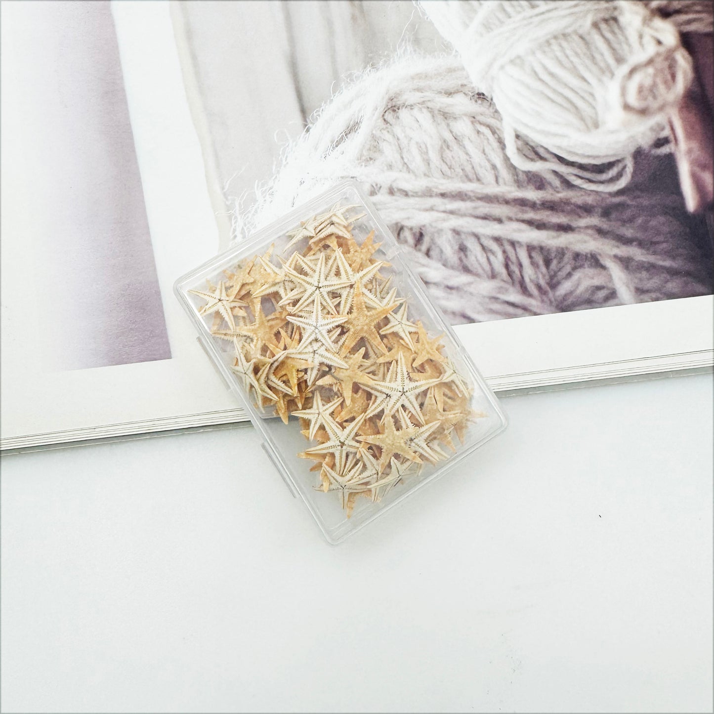 1 Box of 110pcs Tiny Natural Sea Star Marine Starfish for DIY Fish Tank Aquarium Decor Art Crafts Supplies Beach Wedding&Ocean Theme Party Decoration 5-15mm/10-20mm