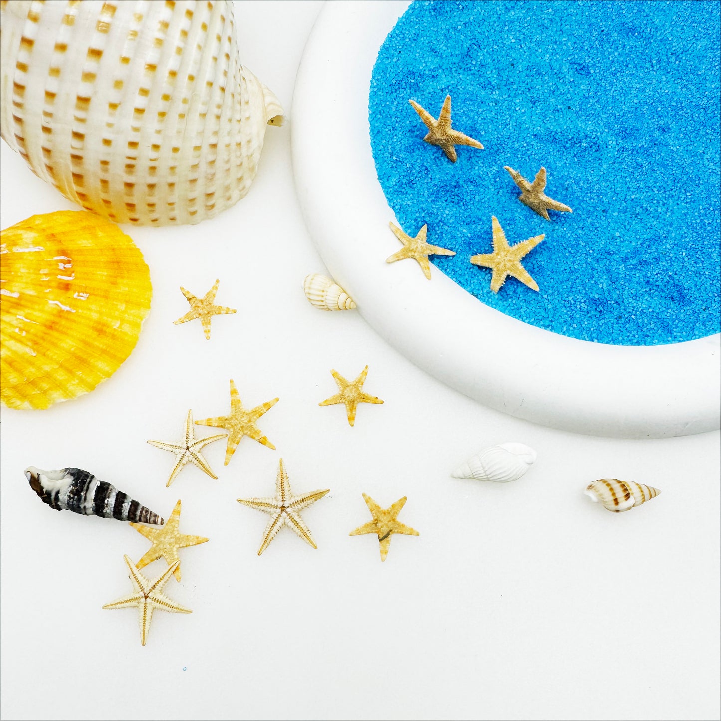 110 PCS Natural Starfish Tiny Small Sea Star Micro-Landscape Beach Wedding Nautical Ornament Shells Resin Craft DIY Vase Filler Accessory 0.39 to 0.78 inches