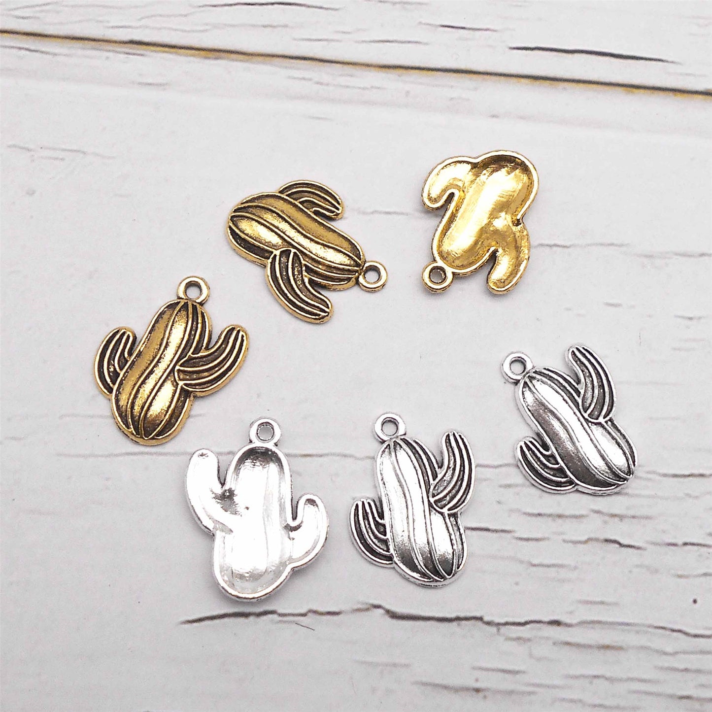 12PCS 16*21mm Antique Gold & Silver Desert Cactus Charms Alloy Plant Pendant for Shoe Charms Making, Necklace Bracelet Earrings Decoration, DIY Craft Supplies