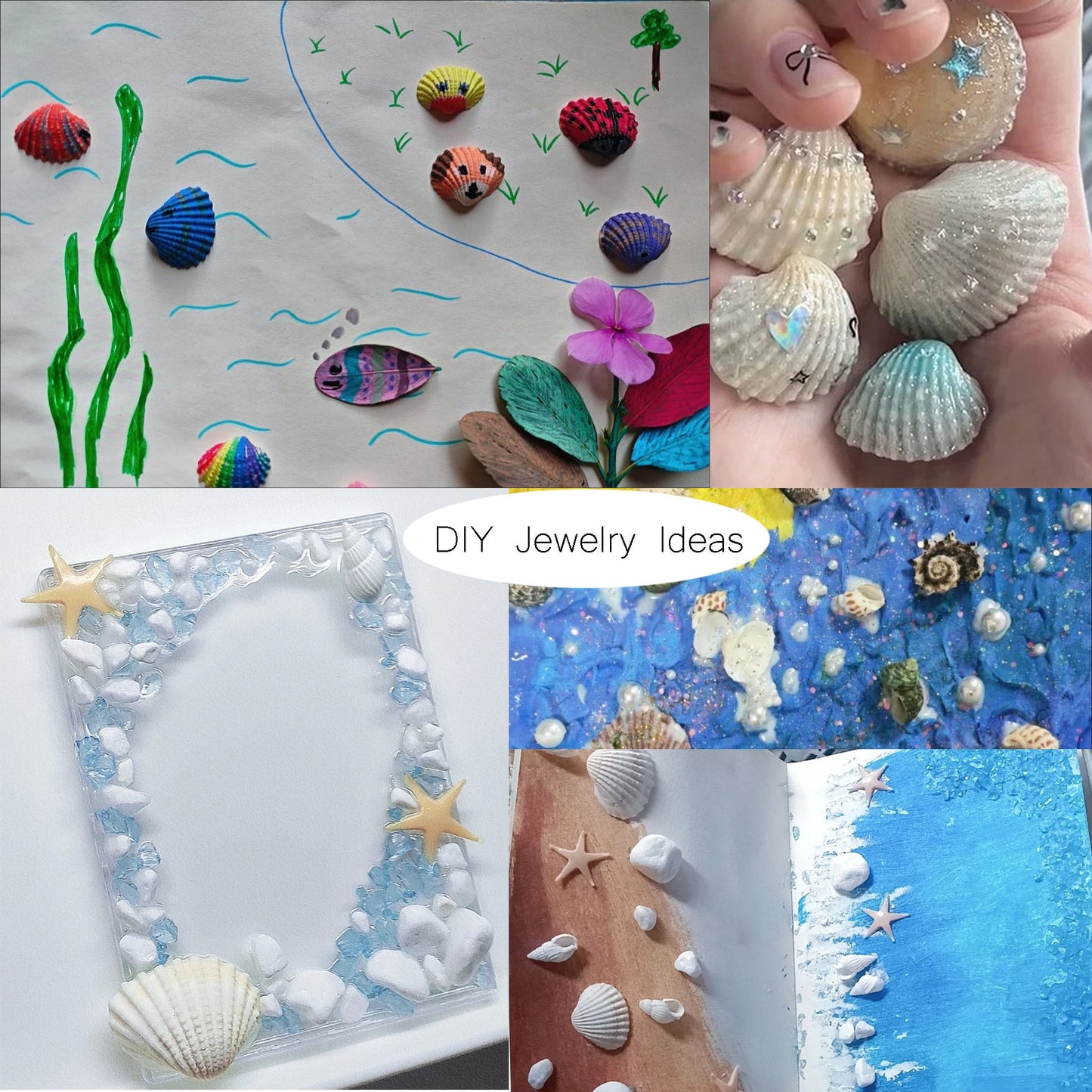 20pcs White Seashells Clam Shells Natural Scallop Cockle Conch Shells for Beach Wedding Decoration Fish Tank Aquariums Decor Art Crafts 1-3cm