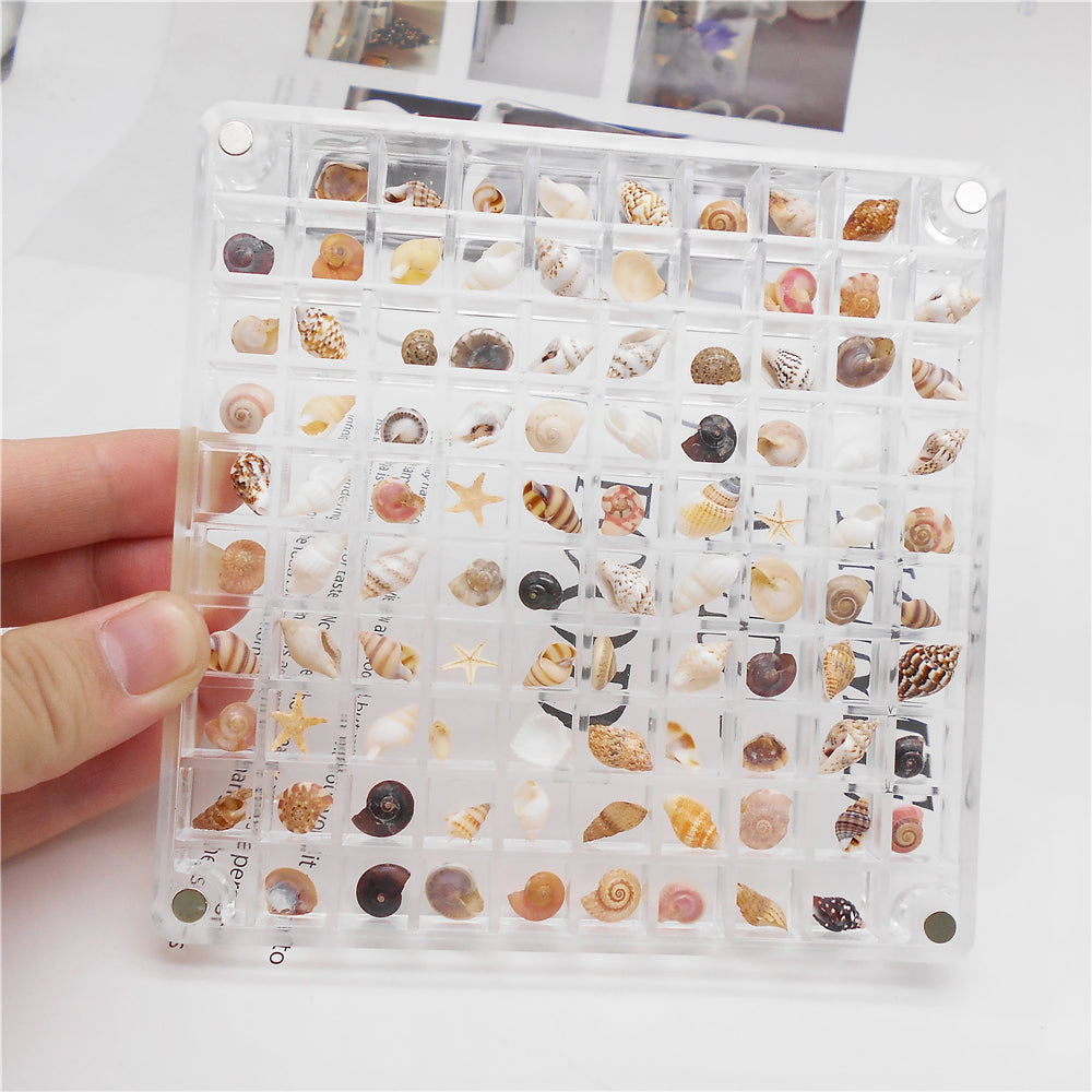1 Piece Magnetic Acrylic Shell Organizer, Clear Display Case for Seashell Collection - Desk Decoration, Storage Box, Gift for Beach Lovers