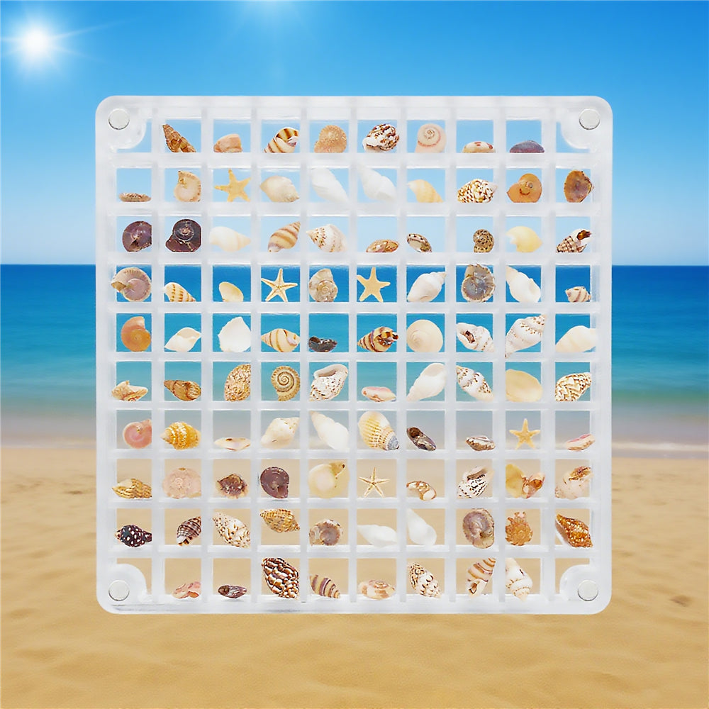 1 Piece Magnetic Acrylic Shell Organizer, Clear Display Case for Seashell Collection - Desk Decoration, Storage Box, Gift for Beach Lovers