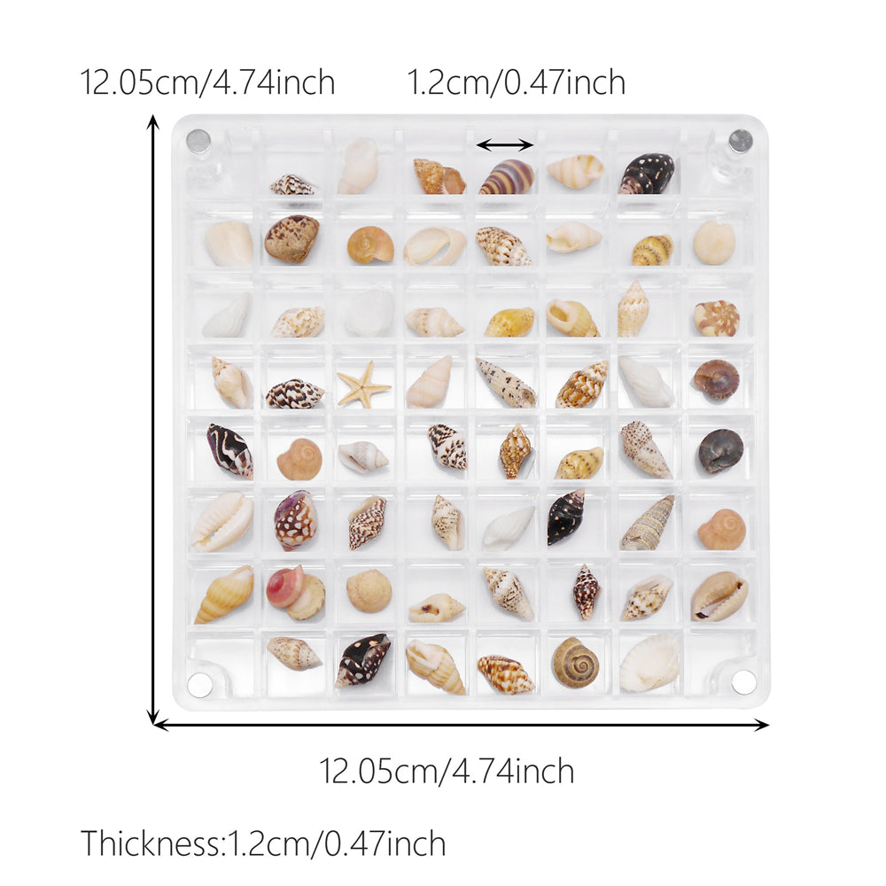 1 Piece Magnetic Acrylic Shell Organizer, Clear Display Case for Seashell Collection - Desk Decoration, Storage Box, Gift for Beach Lovers