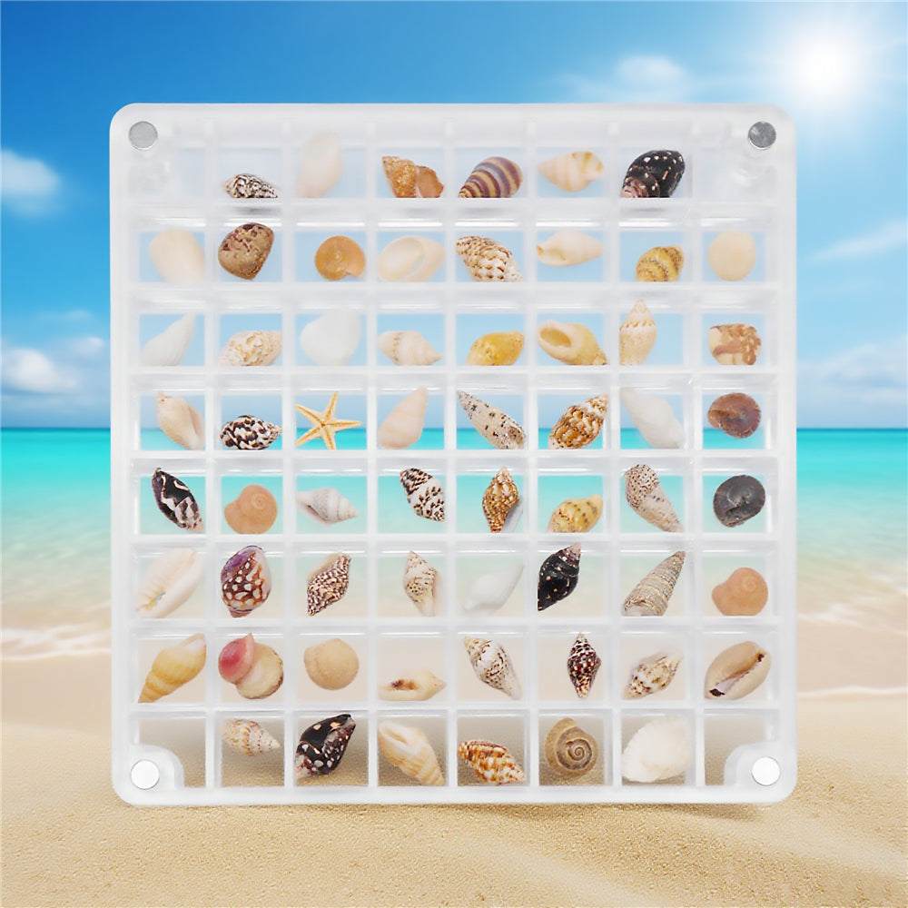 1 Piece Magnetic Acrylic Shell Organizer, Clear Display Case for Seashell Collection - Desk Decoration, Storage Box, Gift for Beach Lovers