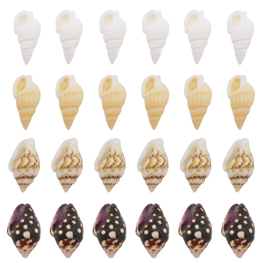 200Pcs Conch Shell Natural Spiral Shell Bead Mixed 8-23mm Beach Sea Shell DIY Fish Tank Home Decoration Bracelet Necklace Anklet Making Accessories