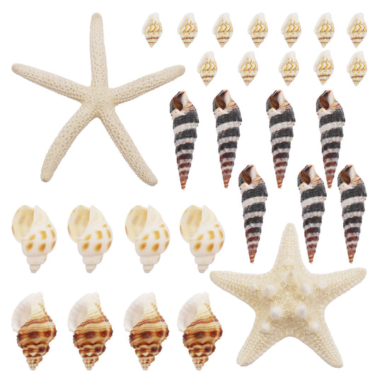82Pcs Natural Shell Spiral Conch Sea Starfish Shell DIY Fish Tank Landscaping Making Accessory Home Ornament Decor