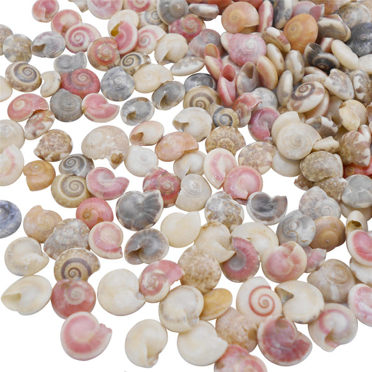 200Pcs Natural Conch Shell Tiny Clam Scallop Shell Real Sea Shell for Beach Wedding & Miniature Landscape Decor, DIY Crafts Supplies