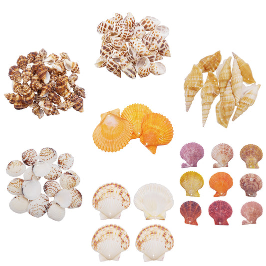 4/10Pcs Natural Scallop Conch Shell with Hole Beach Sea Sell Bead for DIY Jewelry Making Accessory, Fish Tank Aquarium Home Decor