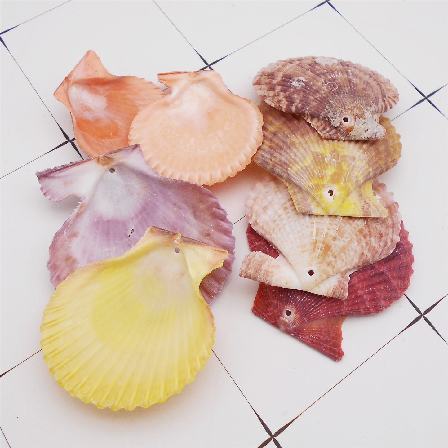 4/10Pcs Natural Scallop Conch Shell with Hole Beach Sea Sell Bead for DIY Jewelry Making Accessory, Fish Tank Aquarium Home Decor