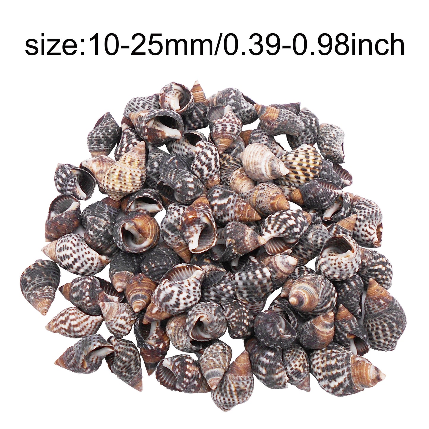 50g One Pack of Natural Conch Shell Beach Sea Shell Bead DIY Wish Bottle Decor Home Fish Tank Decor Accessory