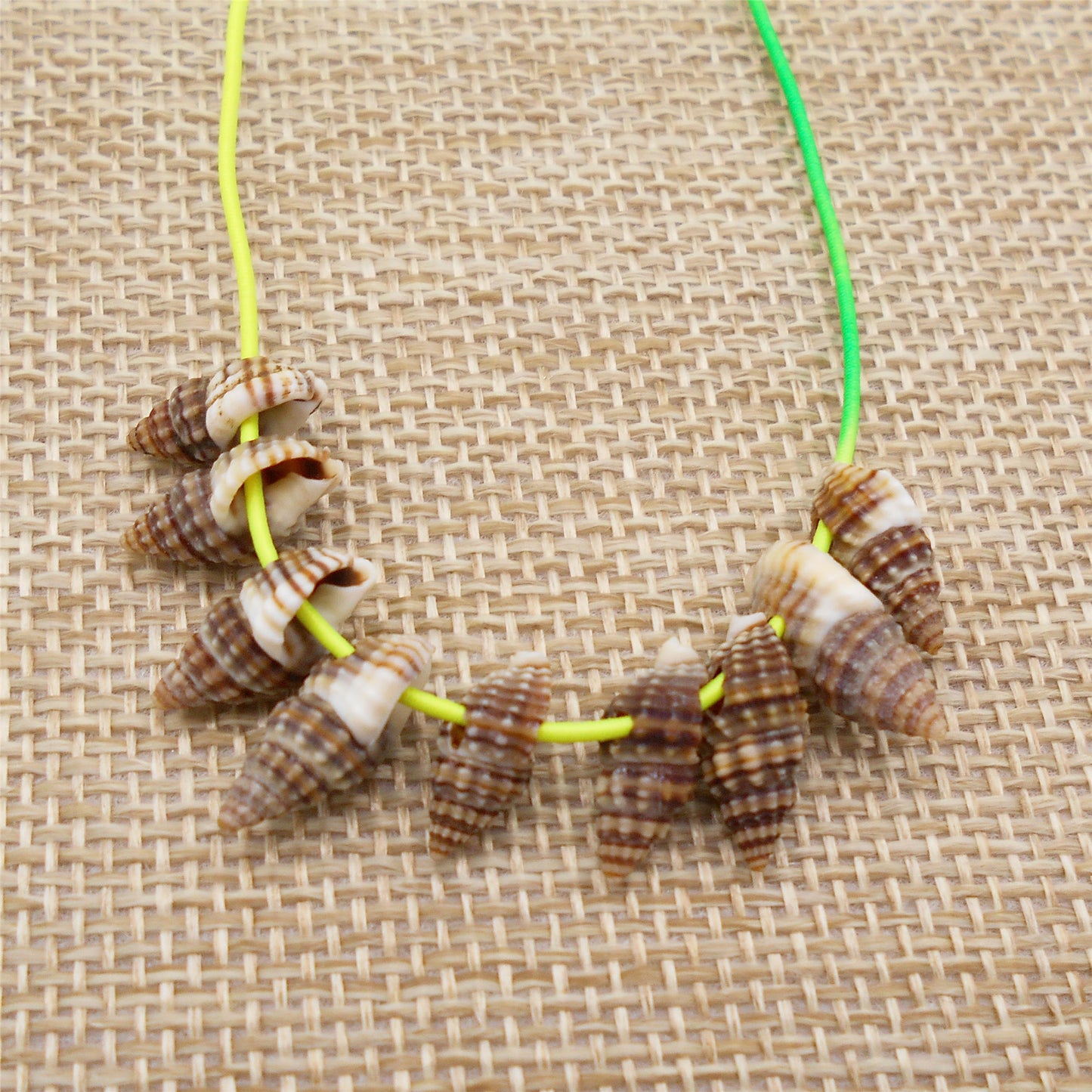 100g One Box of Drilled Hole Shell Conch Whelk for Craft DIY Jewelry Necklace Earring Bracelet Making Home Decoration Phone Frame Candle Making