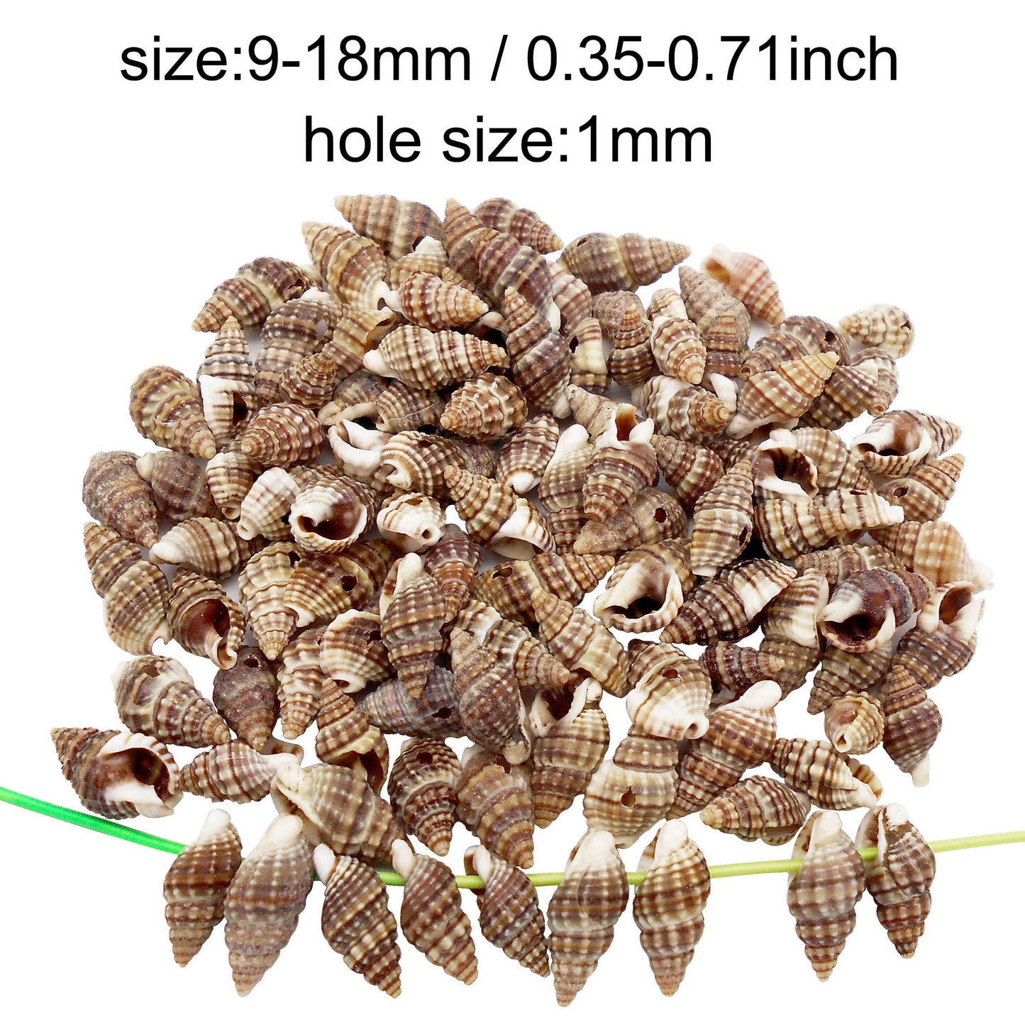 100g One Box of Drilled Hole Shell Conch Whelk for Craft DIY Jewelry Necklace Earring Bracelet Making Home Decoration Phone Frame Candle Making