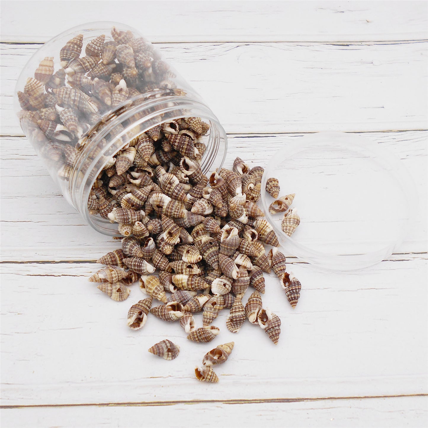 100g One Box of Drilled Hole Shell Conch Whelk for Craft DIY Jewelry Necklace Earring Bracelet Making Home Decoration Phone Frame Candle Making