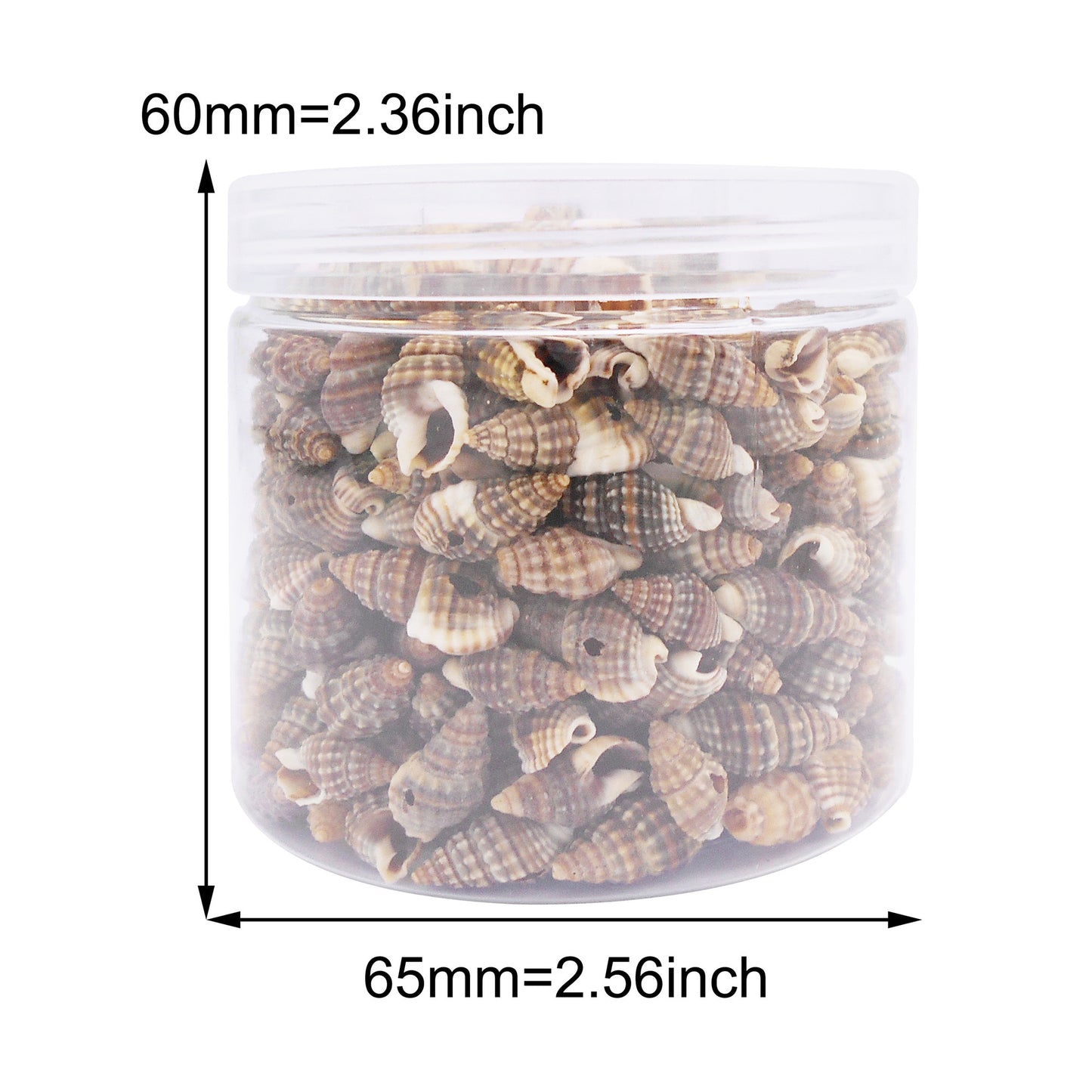 100g One Box of Drilled Hole Shell Conch Whelk for Craft DIY Jewelry Necklace Earring Bracelet Making Home Decoration Phone Frame Candle Making