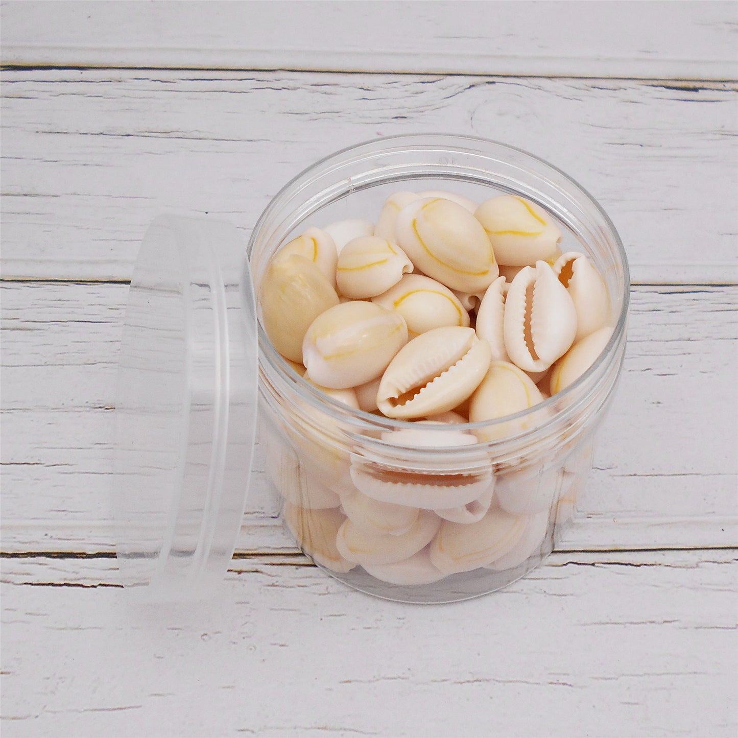 90g One Jar of Natural Shell Conch Beach Gold-ringer Cowrie Real Conch Shells for DIY Jewelry Making, Art Crafts Supplies, Home & Aquarium & Fish Tank Decor