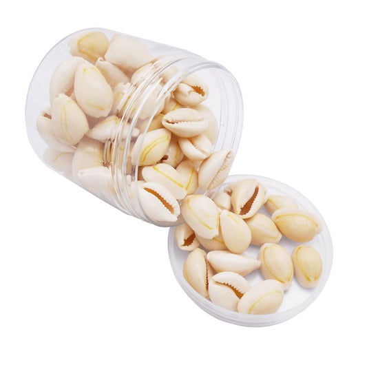 90g One Jar of Natural Shell Conch Beach Gold-ringer Cowrie Real Conch Shells for DIY Jewelry Making, Art Crafts Supplies, Home & Aquarium & Fish Tank Decor