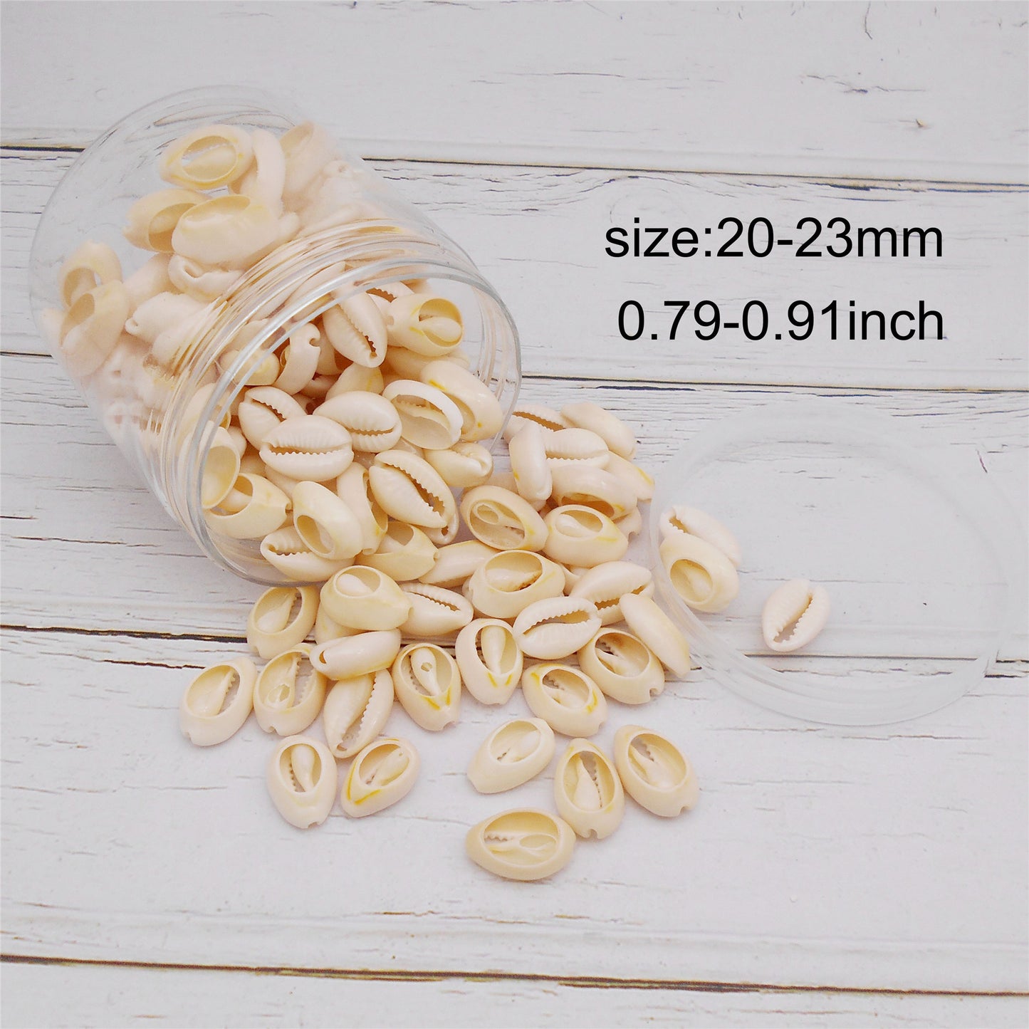 90g One Plastic Jar of Golden-ringer Cowrie, Slice Cowrie Natural Sea Shell Conch Beach Conch for DIY Crafts Supplies, Jewelry Making, Bag Purse Dangling Decor, Fish Tank Aquarium Decoration