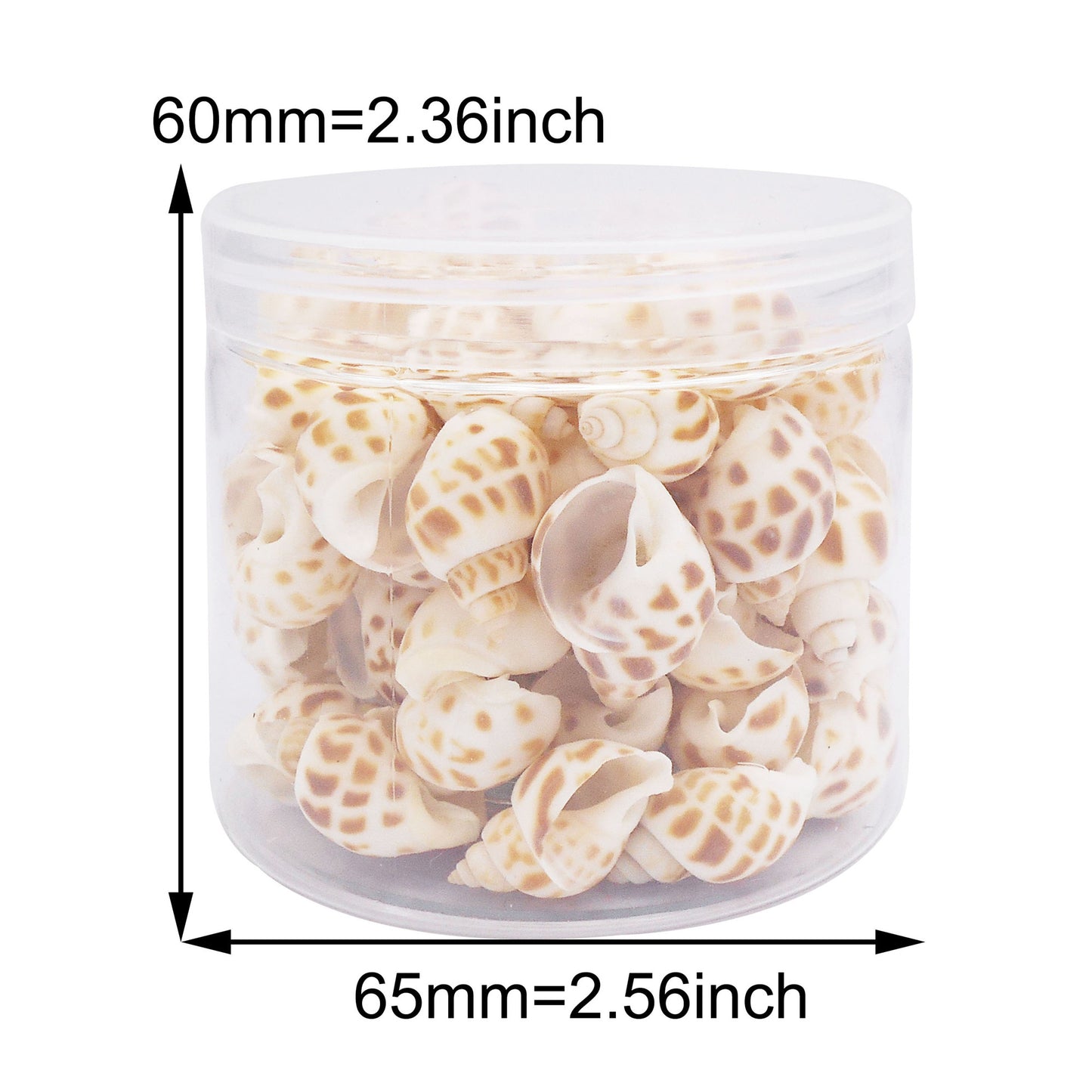 60g One Jar of Spotted Whelk Shell Sea Shell for Craft DIY Jewelry Necklace Earring Bracelet Making Home Decoration Phone Frame Candle Making 2-3cm