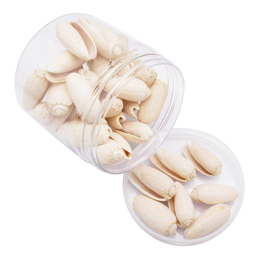 90g One Jar of White Whelk Shell Sea Shell for Craft DIY Jewelry Necklace Earring Bracelet Making Home Decoration Phone Frame Candle Making