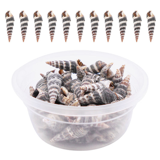 30g One Box of Black Snail Shell Natural Conch Shell Beach Conch Shells for DIY Jewelry Making Art Crafts Decor Fish Tank Aquarium Decoration