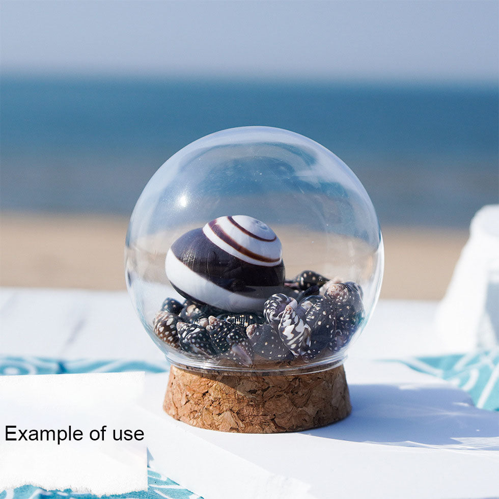 50g One Jar of Black Conch Shell Spindle-Shaped Sea Shells Natural Beach Conch for DIY Jewelry Making, Crafts Supplies, Home & Aquarium Decor