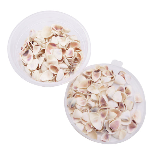 30g One Box of White Conch Shell Tiny Natural Clam Scallop Shells for Beach Wedding & Ocean Party Decor, DIY Crafts Supplies, Home & Aquarium & Fish Tank Decor