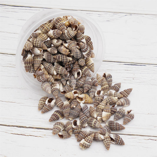 30g One Box of Natural Spiral Shell Beach Conch Shell Tiny See Shells for DIY Jewelry Making, Art Crafts Supplies, Aquarium Home Fish Tank Decor