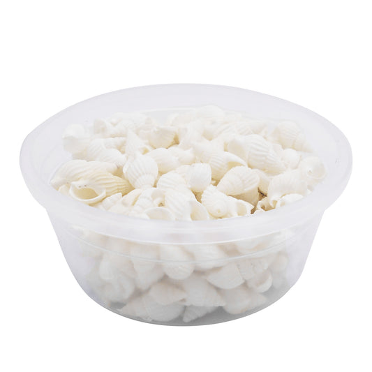 30g One Box of Natural Sea Conch Shell 8-20mm Mixed White Rice Cowrie Shell Beads Real Beach Shell for DIY Jewelry Crafts Supplies, Home Aquarium & Fish Tank Decor