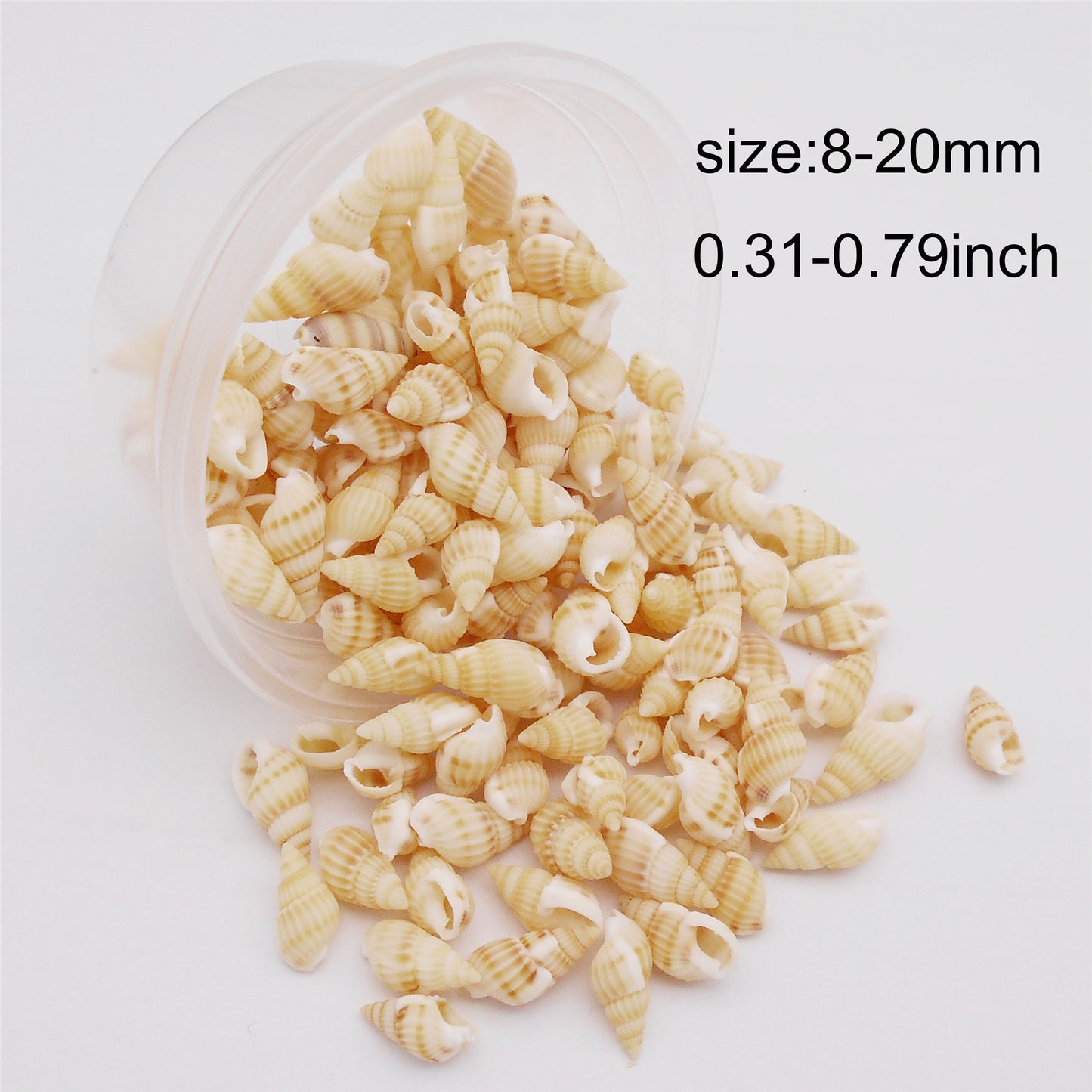 30g One Box of Marine Conch Shell 8-20mm Mixed Natural Yellow Rice Cowrie Beach Spiral Shell Beads for DIY Jewelry Making Sea Art Crafts Supplies Fish Tank Decor