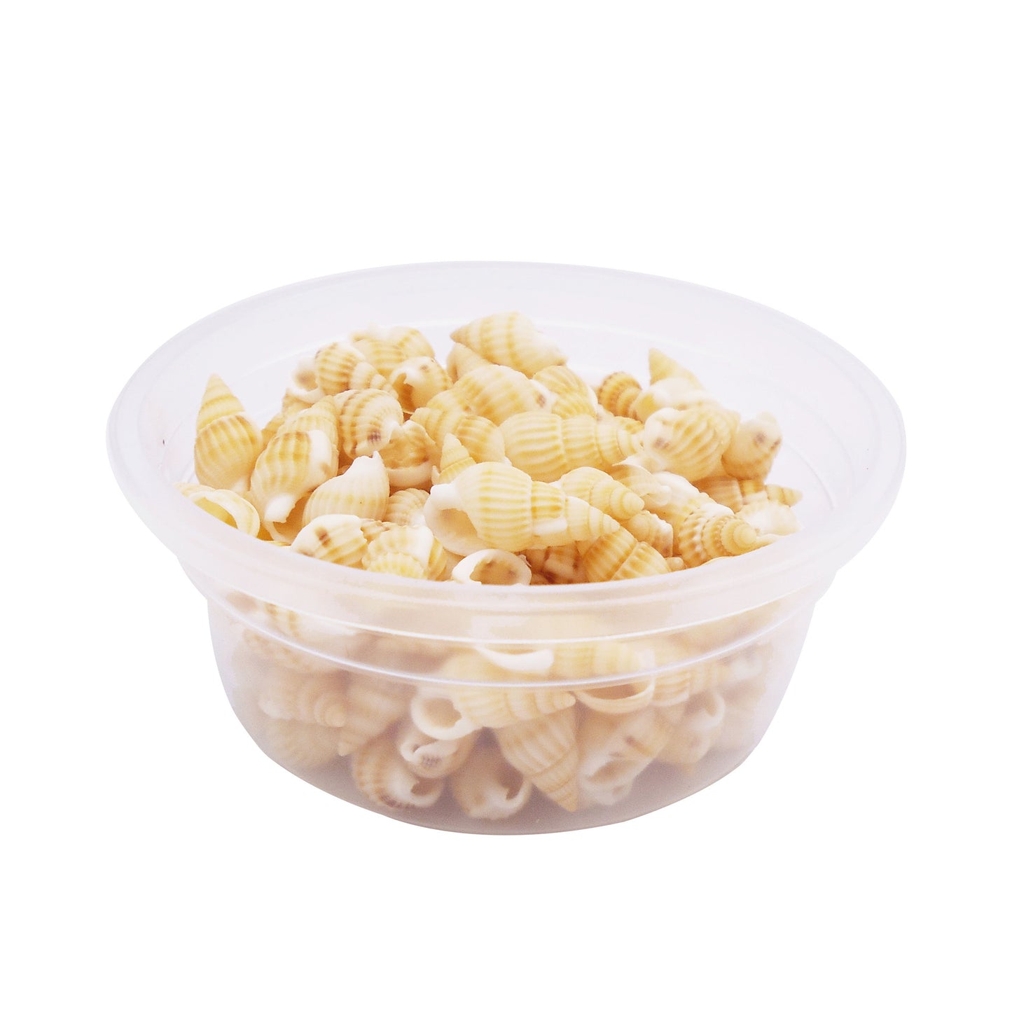 30g One Box of Marine Conch Shell 8-20mm Mixed Natural Yellow Rice Cowrie Beach Spiral Shell Beads for DIY Jewelry Making Sea Art Crafts Supplies Fish Tank Decor