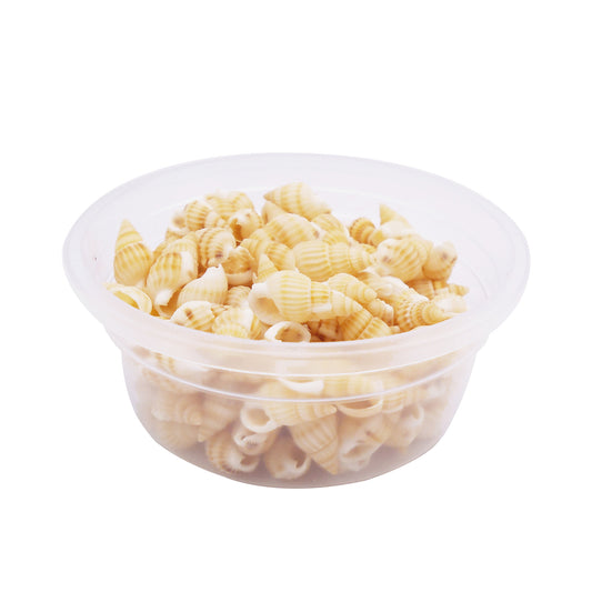30g One Box of Marine Conch Shell 8-20mm Mixed Natural Yellow Rice Cowrie Beach Spiral Shell Beads for DIY Jewelry Making Sea Art Crafts Supplies Fish Tank Decor