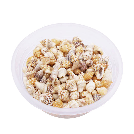 40g One Box of Natural Marine Conch Shell 5-15mm Mixed Tiny Rice Shaped Cowrie Shell Beads for Wish Bottle Decoration, DIY Crafts Supplies, Fish Tank Ornament Making