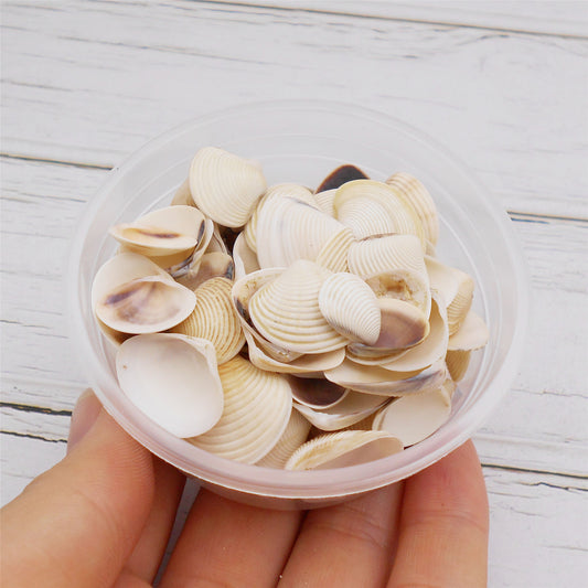 30g One Box of Natural Shell 10-25mm Mixed White Clam Scallop Shell for Beach Wedding Decor, DIY Crafts Supplies, Home & Aquarium Decor